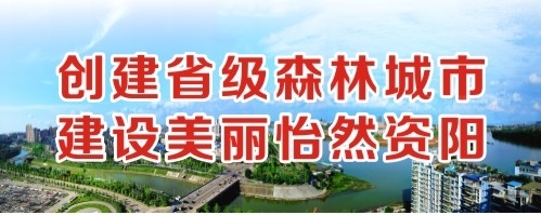 骚货～哈啊创建省级森林城市 建设美丽怡然资阳