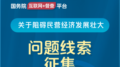 水果视频黄骚在线观看国务院“互联网+督查”平台公开征集阻碍民营经济发展壮大问题线索